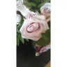 Bloomex - Flower s that were sent wrong instead of purple Rose's it was white and pink 