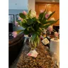 JustFlowers.com - Ordered Purple Tulips for my daughter