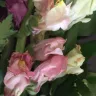 Bloomex - Dead, Broken, Moldy Bouquet