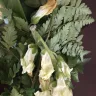 Bloomex - Dead, Broken, Moldy Bouquet