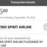 Spirit Airlines - Double charges for seat 