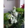 Marks and Spencer - Flower Delivery 