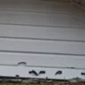 State Farm - Roof/Hail damage