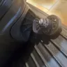 Caribbean Airlines - Damage luggage