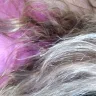 Hair Cuttery - Fried and fuzzy hair