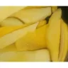 Walmart - Produce.. Sliced mango slices