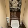 Carnival Cruise Lines - Ineffective equipment in the ladies room