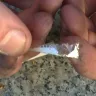 Marlboro - inch long piece of plastic found in cigarette