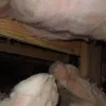 ADT Security Services - trashed insulation in crawl space