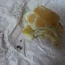 McDonald's - stone in burger