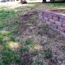 TruGreen - killed my lawn