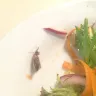 Coles Supermarkets Australia - moth in the lettuce