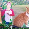 Facebook - Killed efenseless pet cat with an arrow