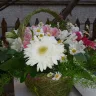 RussianFlora - Flower basket delivered 1 day later