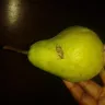 Shoprite Checkers - pears