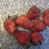 Shoprite Checkers - freshmark strawberries