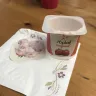 Yoplait - yoplait yogurt in the individual cups
