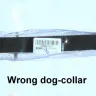 EachBuyer - wrong dog-collar