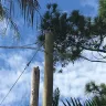 Florida Power & Light [FPL] - dangling power lines & frayed connections