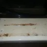 Best Western International - filthy room and roaches