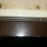 Best Western International - filthy room and roaches