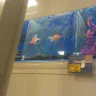 PetSmart - fish