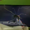 Cebu Pacific Air - damage electronic smart 43 inch lg tv baggage!