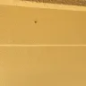 Days Inn - 3 wasp nest outside my room door