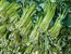 More Spinach Brands Recalled