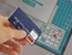 Swine Flu Fears Fuel Internet Scams