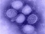 Mandatory H1N1 Vaccine for 25,000 American Children