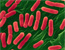 Cattle Ranch Implicated for E. coli in Spinach