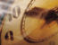 5 Year Lending Club Loans Gain Popularity