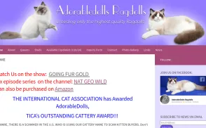 Adorable Ragdolls website