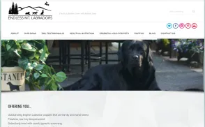 Endless Mountain Labradors website
