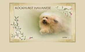 Rockhurst Havanese website