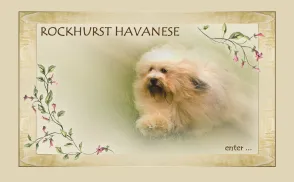 Rockhurst Havanese website