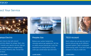 Tampa Electric / Teco Energy website