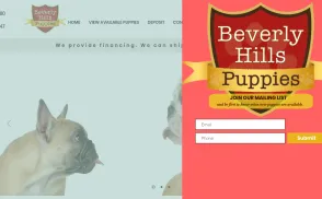 Beverly Hills Puppies website