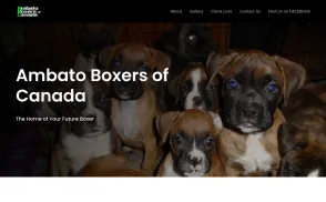 A.B.C. Ambato Boxers website