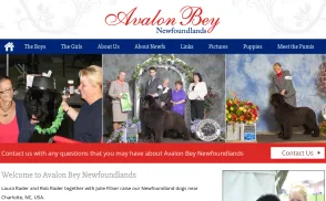 Avalon Bey Newfoundlands website