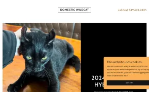 Domestic Wild Cats website