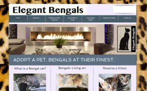 Elegant Bengals website