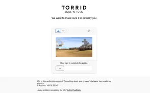 Torrid website