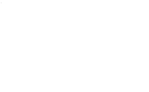 ASKoption website