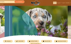 BuckEyePuppies.com website