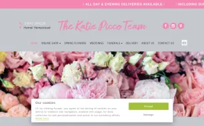 Katie Picco website
