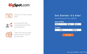 BigSpot.com website
