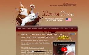 Dream Coon Cattery website