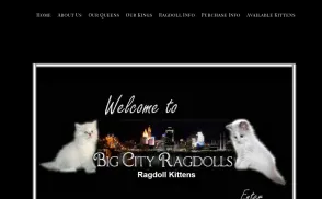 Big City Ragdolls website